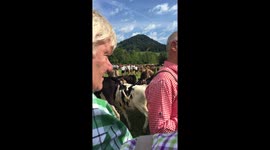Viehscheid