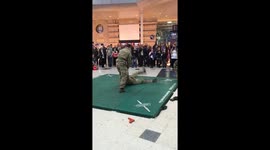 Royal Marines show off unarmed combat techniques
