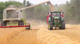 Footage of a combine harvester cutting Barley in West Yorkshire