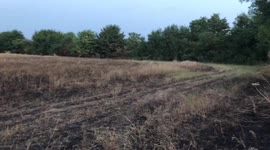 Aftermath of London grass fire amid unprecedented heatwave