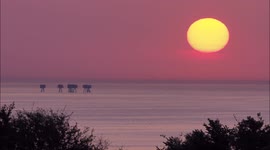 UK heatwave: Stunning sunrise over Thames Estuary in Kent