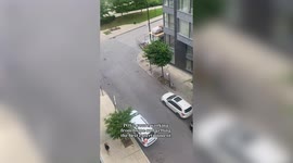 Pedestrians sent fleeing after pair of birds target and attack passersby on Montreal street