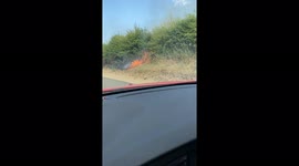Fire by road in Norfolk after wheat field catches fire during UK heatwave