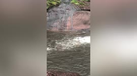 Hero French tourist saves woman drowning in waterfall pool in Thailand