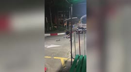 Brave motrocycle rider catches cobra on road using bare hands