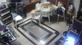 Pet dog caught on CCTV stealing chicken from dining table
