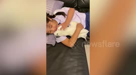 Adorable pet cockatoo parrot cuddles with owner