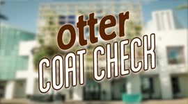 How This Sea Otter Helps Her Friend Keep Her Coat in Check