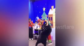 Tourists watch in shock as black bear bites trainer during performance in China