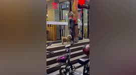 Owner ties dog to Terracotta Warrior statue as they go into restaurant in China
