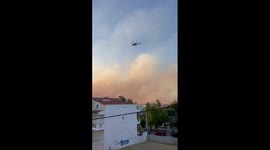 Greece: Major Wildfire Near Athens Continues To Rage
