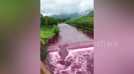 Chinese villager accidentally drops dye into river, turning it red
