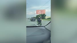 Pet Siberian Husky dog rides pillion on owner's motorbike