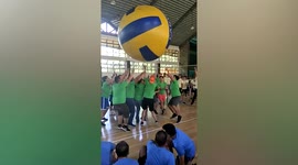 Employees take part in volleyball game with GIANT ball during team building event