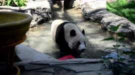 Beijing Zoo Cooling in Summer 2021, China