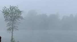 Canada: Storm Brings Heavy Rain, High Winds To Southern Ontario