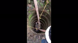 Heroic heave saves water buffalo that survived long fall into narrow well in India