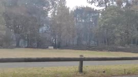 France: Damage In Dune Du Pilat Left By Gironde Wildfires
