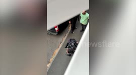 Dramatic footage shows armed cops arrest suspected gunman in front of shocked residents