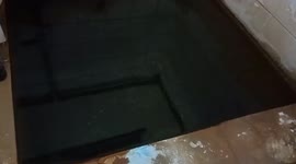 Massive python caught swimming in family's bathroom tub in Thailand