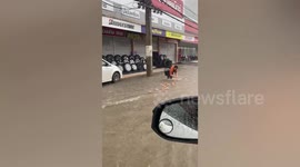 Locals catch packets of noodles being washed away by flash flood