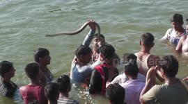 Devotees parade with snakes at festival in India