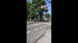 Hundreds of bees swarm streets of city in Wakayama, Japan