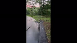 US: Severe Weather Knocks Down Trees, Leaves Thousands Without Power In Western Michigan