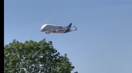 There she blows! Plane that looks like beluga whale delights UK airshow crowds