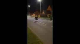 Woman exposes herself after allegedly stealing from supermarket and throws punches