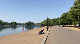 Parched bank of grass seen at London Hyde Park during summer heatwave