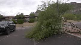 Downburst Wind Damage - Oro Valley, AZ (Linda Vista Blvd) - Trees Down, Power Out, Fences Down