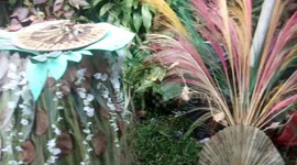 Nature-themed fashion parade at the art and cultural event