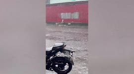 Kind passersby rescue dog abandoned in pouring rain