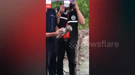 Baby monkey with head stuck in plastic jar rescued in Thailand