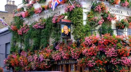 Britain's prettiest pub: Hundreds of blooms adorn the Churchill Arms in Kensington