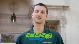 Why Is The Fight to Save This Salamander So Critical?