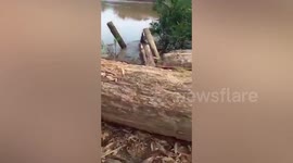 Mammoth 26ft-long killer crocodile caught after eating fisherman alive in Indonesia