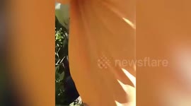 Abandoned newborn baby found covered in insect bites in empty car park