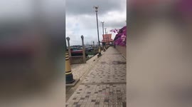 Out-of-control tugboat smashes into ferry as passengers escaps by jumping into river