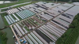 Dozens of greenhouses damaged as thunderstorms hit eastern China