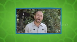 Is There a Reason Why The Mountain Lion Has So Many Different Names?