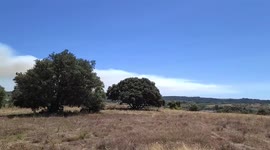 France: Forest Fires Erupt In The Aumelas Plateau In Herault 3
