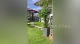 Philippines earthquake churns swimming pool water in front of tourists