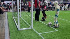 German team wins 'robot football' tournament