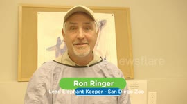 Keeping One Elephant Healthy Is Tough Enough, Try Seven!