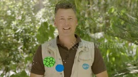 What Exactly Are Chuckwalla Lizards and Why Are They So Important?