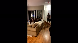 'Dog receives a warm welcome from her human friends '