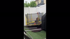 'Toddler learns that life isn't perfect when he unexpectedly falls off trampoline'