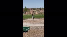 'Boy falls off ride after getting a little too comfortable on it'